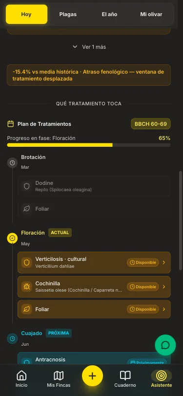 Qué hacer en tu olivar, cuándo y por qué - 1
