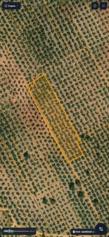 Imagen Sentinel-2 a color real con la parcela delimitada en pantalla completa