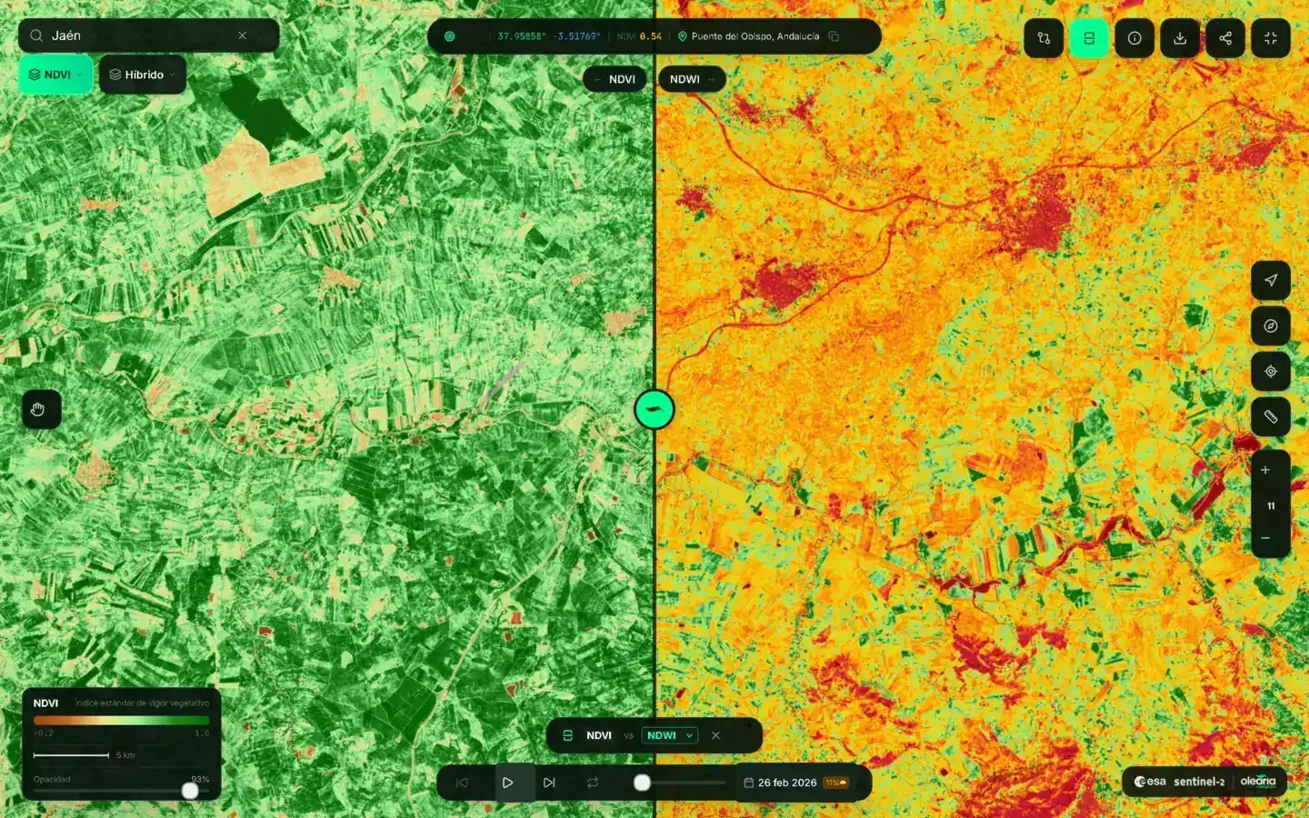 Olearia Agritech — Comparativa satelital NDVI vs NDWI de olivares en Jaén